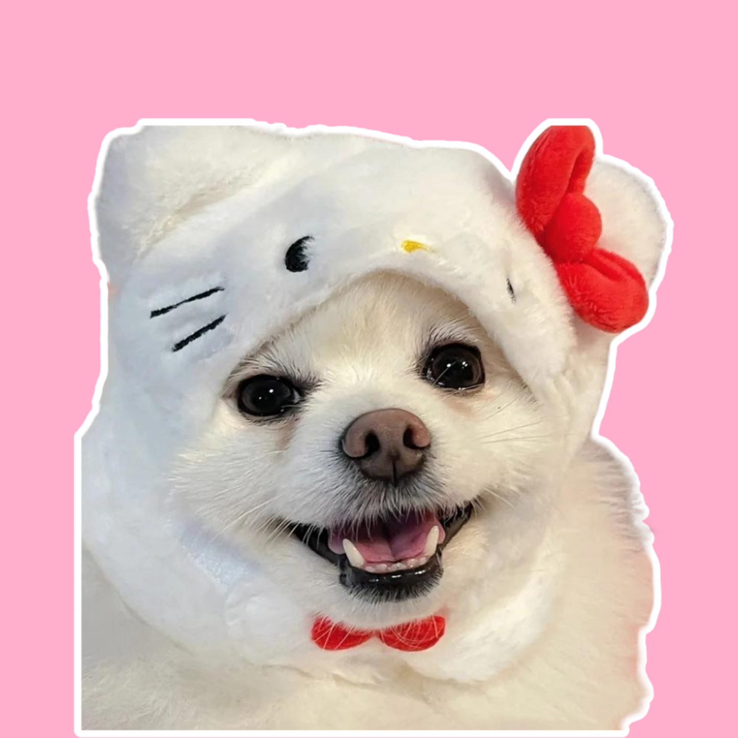 Sanrio Hello Kitty Pet Hat